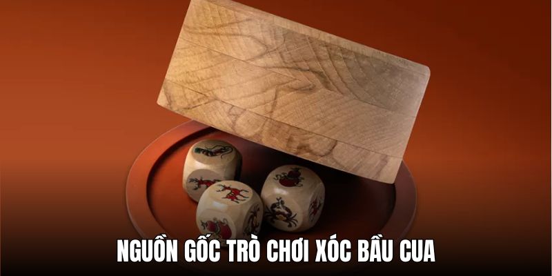 Tìm hiểu về nguồn gốc của trò chơi truyền thống bầu cua